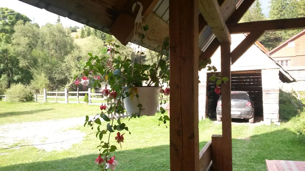 Cabana Aurora Villa Arieşeni Esterno foto