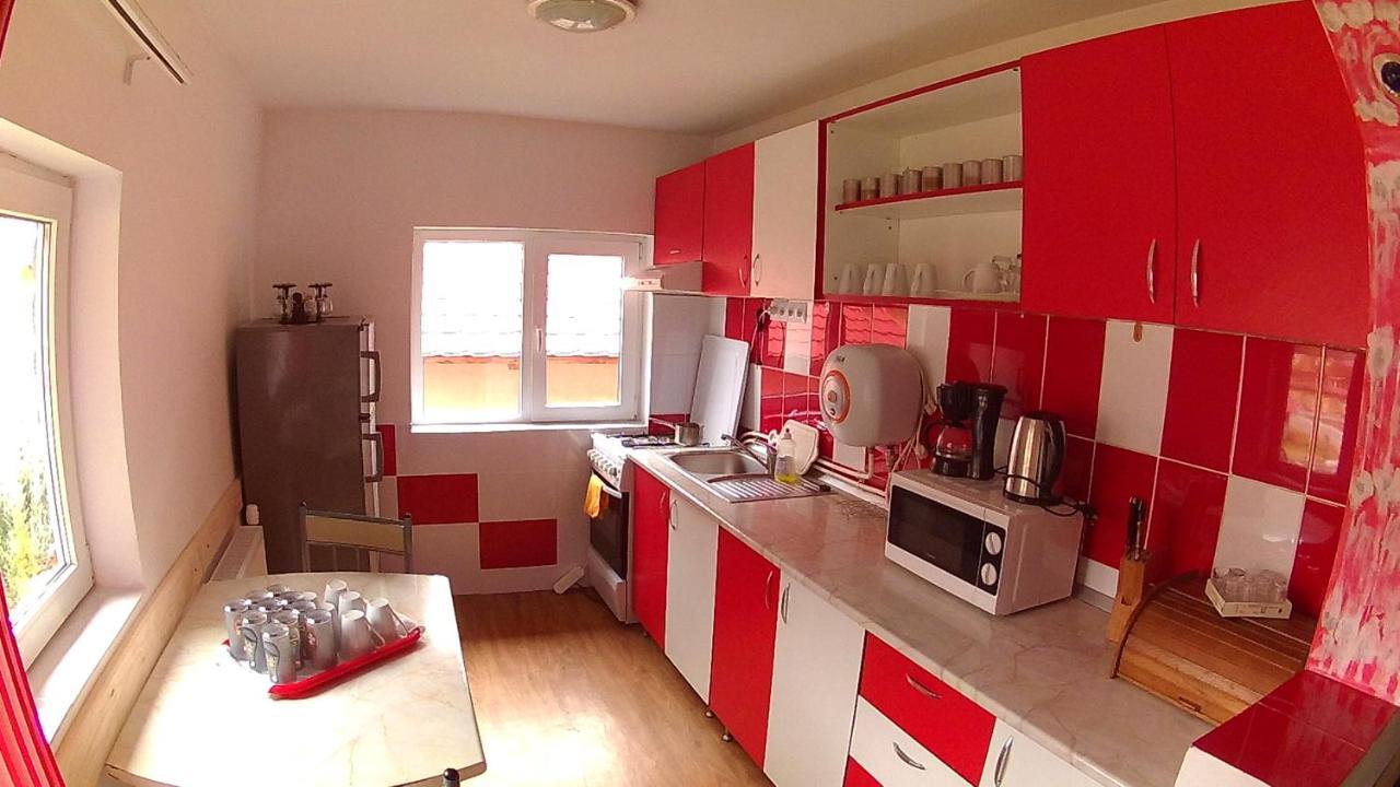 Cabana Aurora Villa Arieşeni Esterno foto